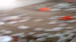 VID_20210326_164117